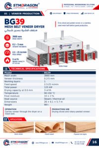 STMDRAGON BG39 Mesh Belt Veneer Dryer